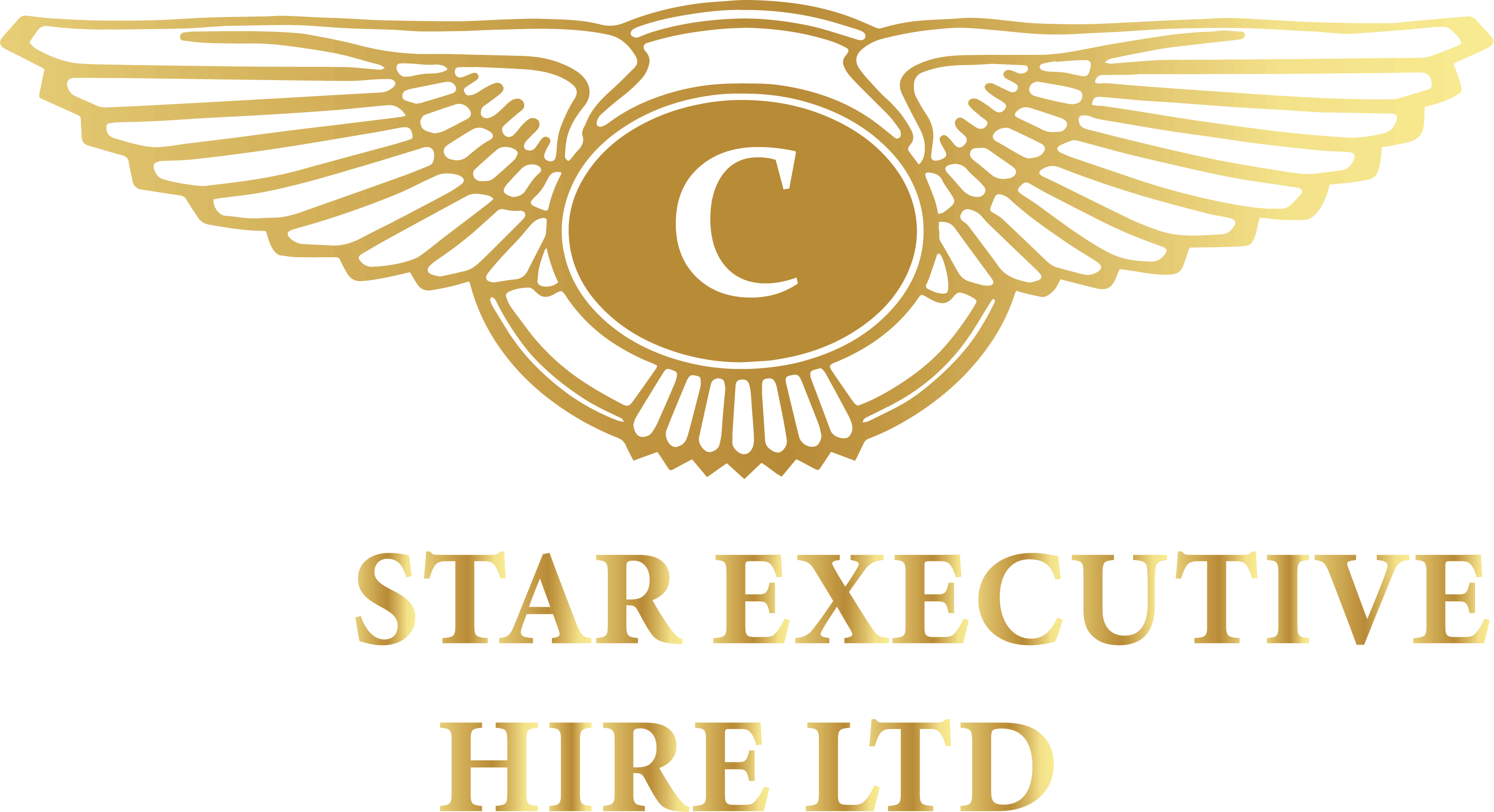 City-star-executive-logo-1-1.png